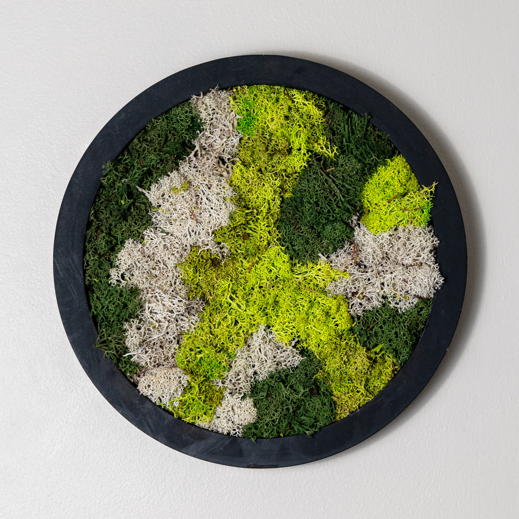 Moss Art - Circle