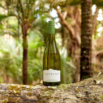 Bottle of Cloudy Bay wine on a log with a forest background