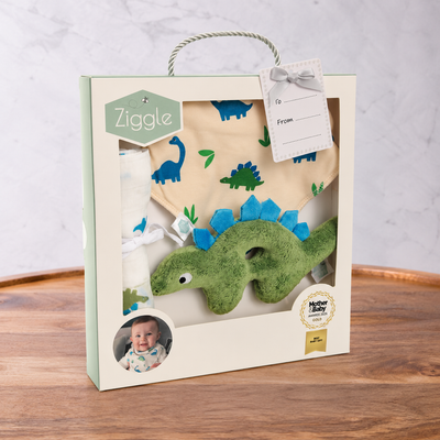 Dinosaur Baby Bundle