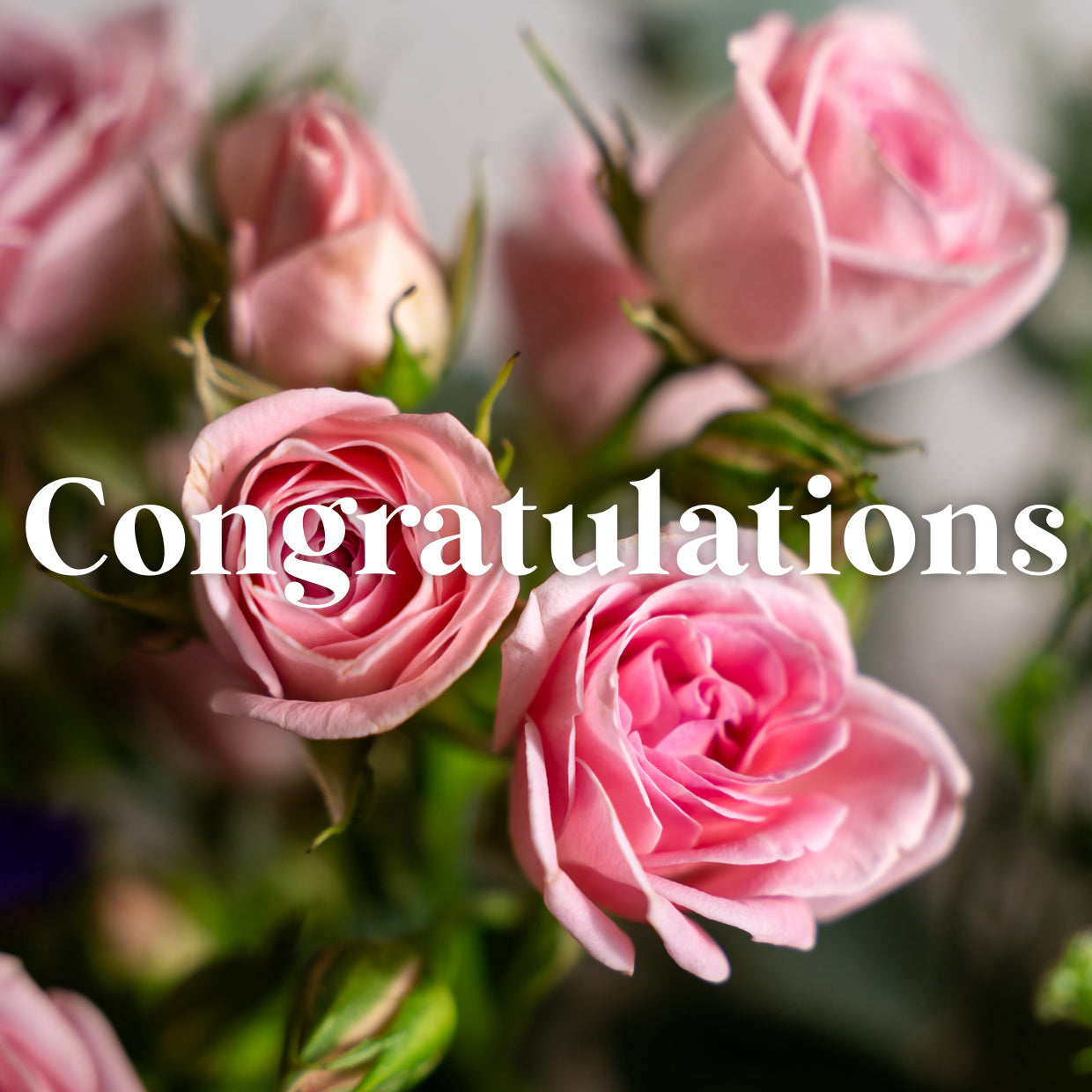 Card The Flower Factory