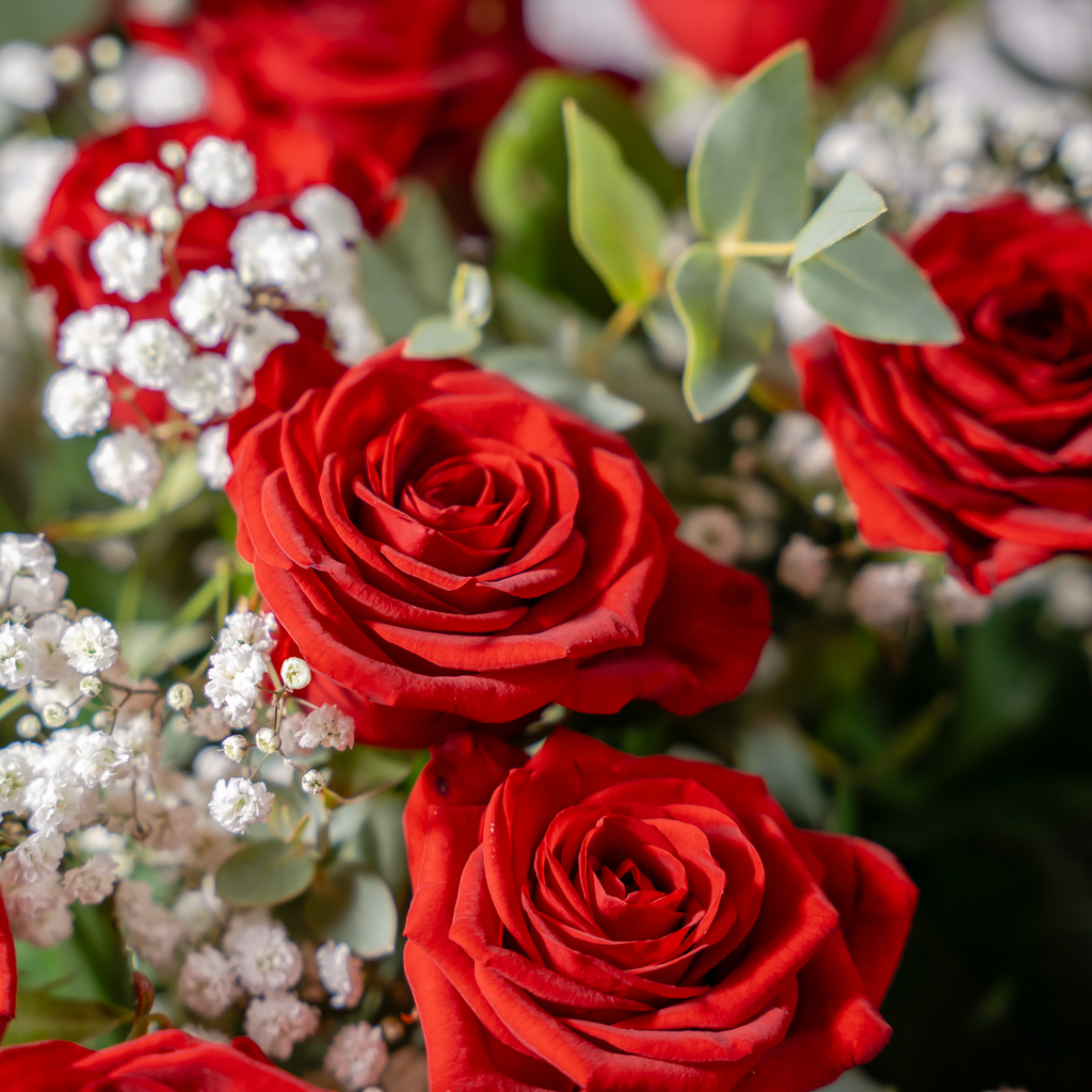 Fifty Red Roses - The Flower Factory