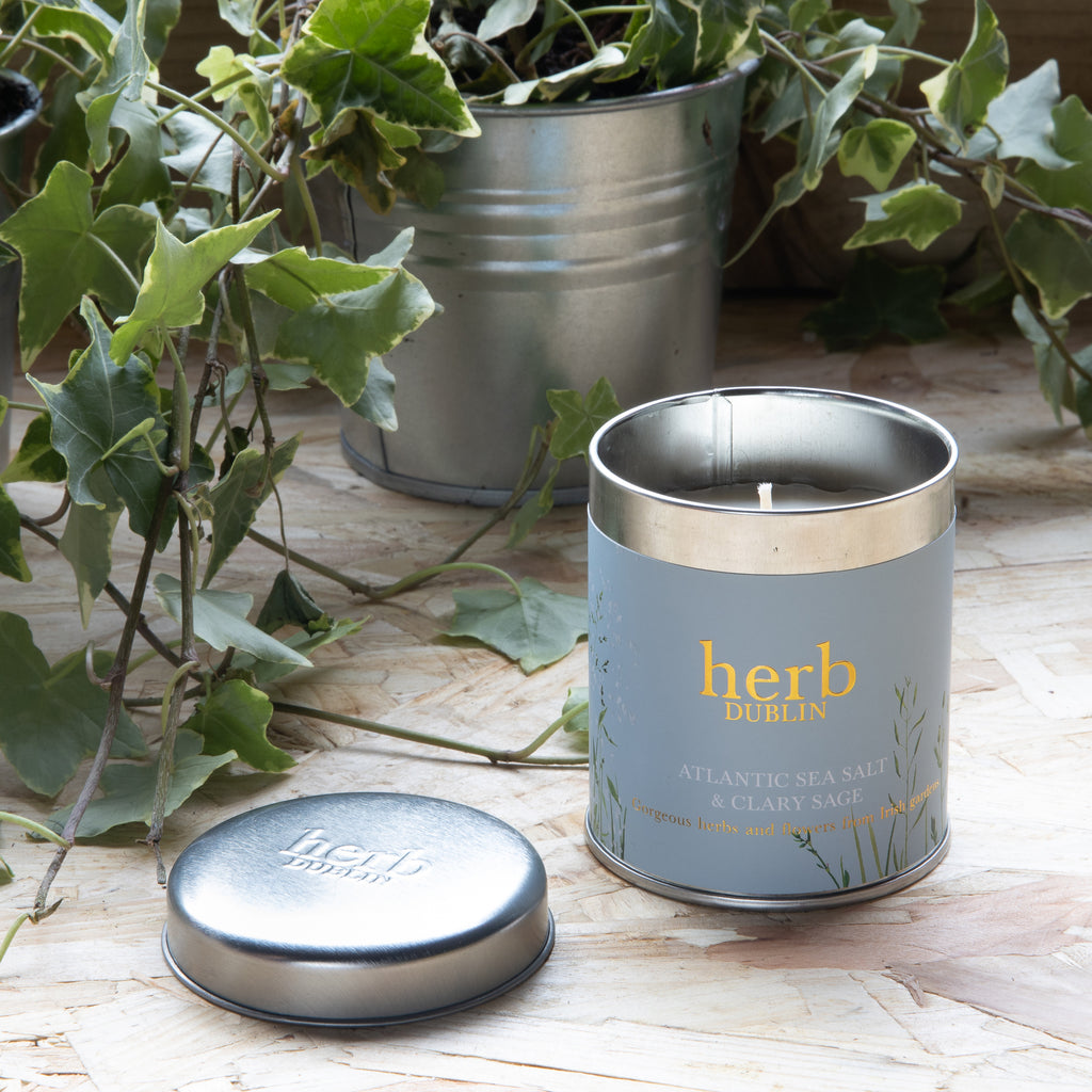 Herb Dublin Scented Tin Candle