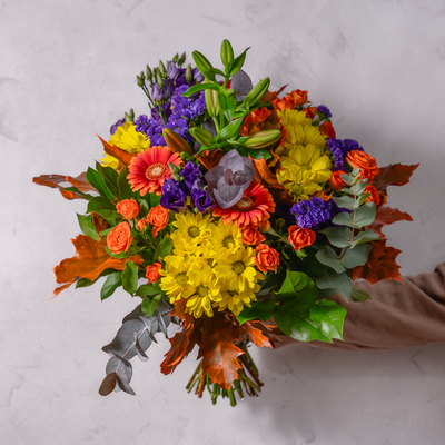 Autumn Comfort Bundle