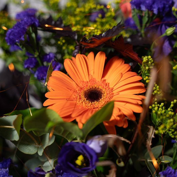Harvest Bloom