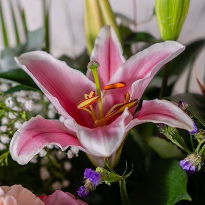 Overhead view of a full luxury flower arrangement in blush and white, large  open lilies with abundant greenery