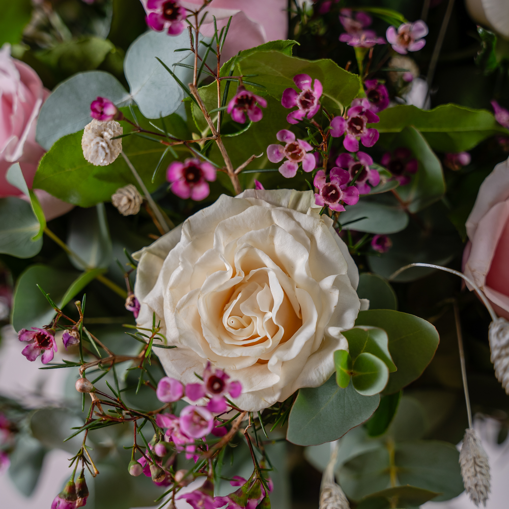 Dreamy blush rose up close in a bouquet as a romantic anniversary gift delivered across Ireland