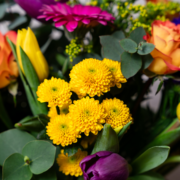Close up of tulips, roses and eucalyptus in the New Beginnings bouquet from The Flower Factory