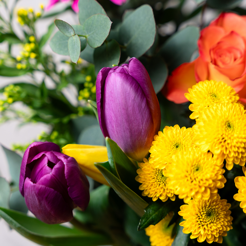 New Beginnings tulip bouquet as a graduation or new job flower