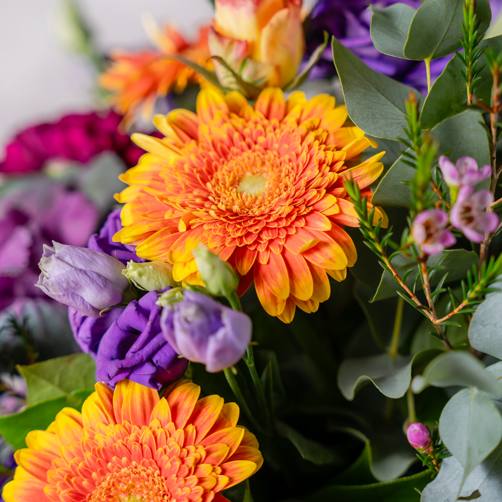 Close up of vibrant roses and daisies in the Pop of Colour seasonal bouquet