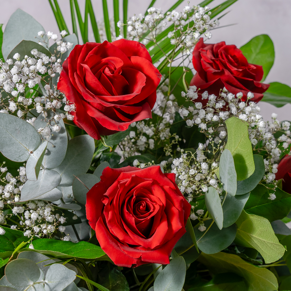 Six red roses presented as a romantic gift for Valentine's Day or anniversary delivery across Ireland