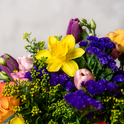Close up of tulips and daffodils in the Spring in Your Step bouquet from The Flower Factory
