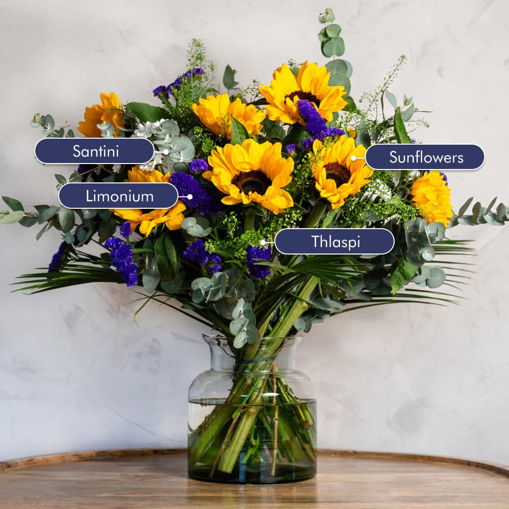A descriptive image of a bouquet of sunflowers placed in a glass vase with labels describing each stem 