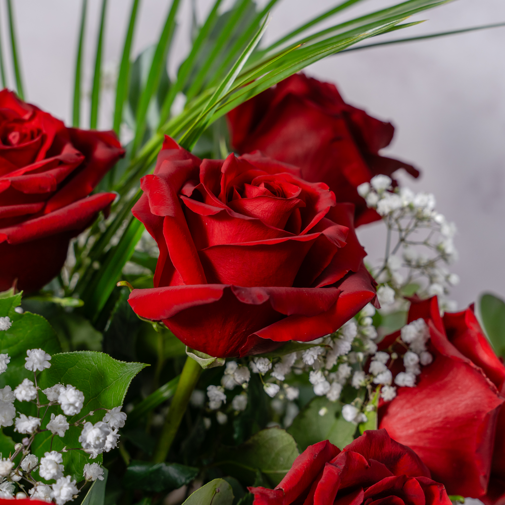 Red Roses Factory Dozen Red Roses - Twelve Luxury Red Roses - The Flower Factory
