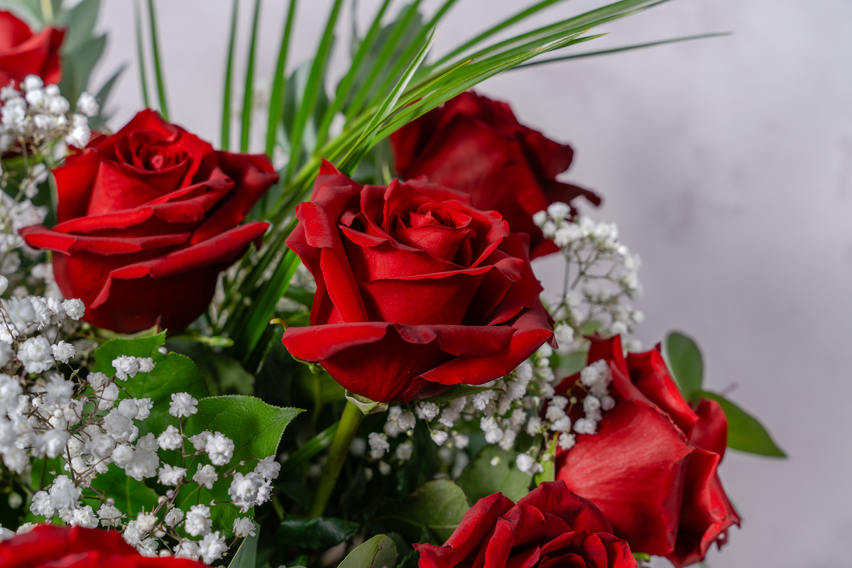 Premium red roses with foliage detail hand-arranged The Flower Factory Dublin