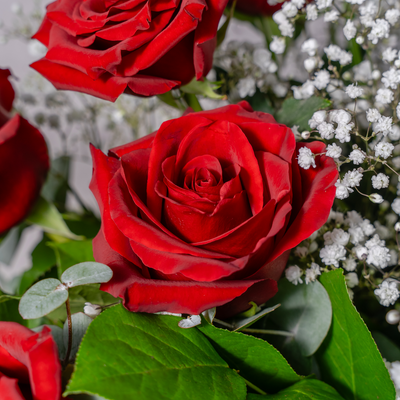 Twelve red roses gift wrapped same-day flower delivery Dublin